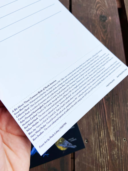 Birds of North America 6x9 Postcard