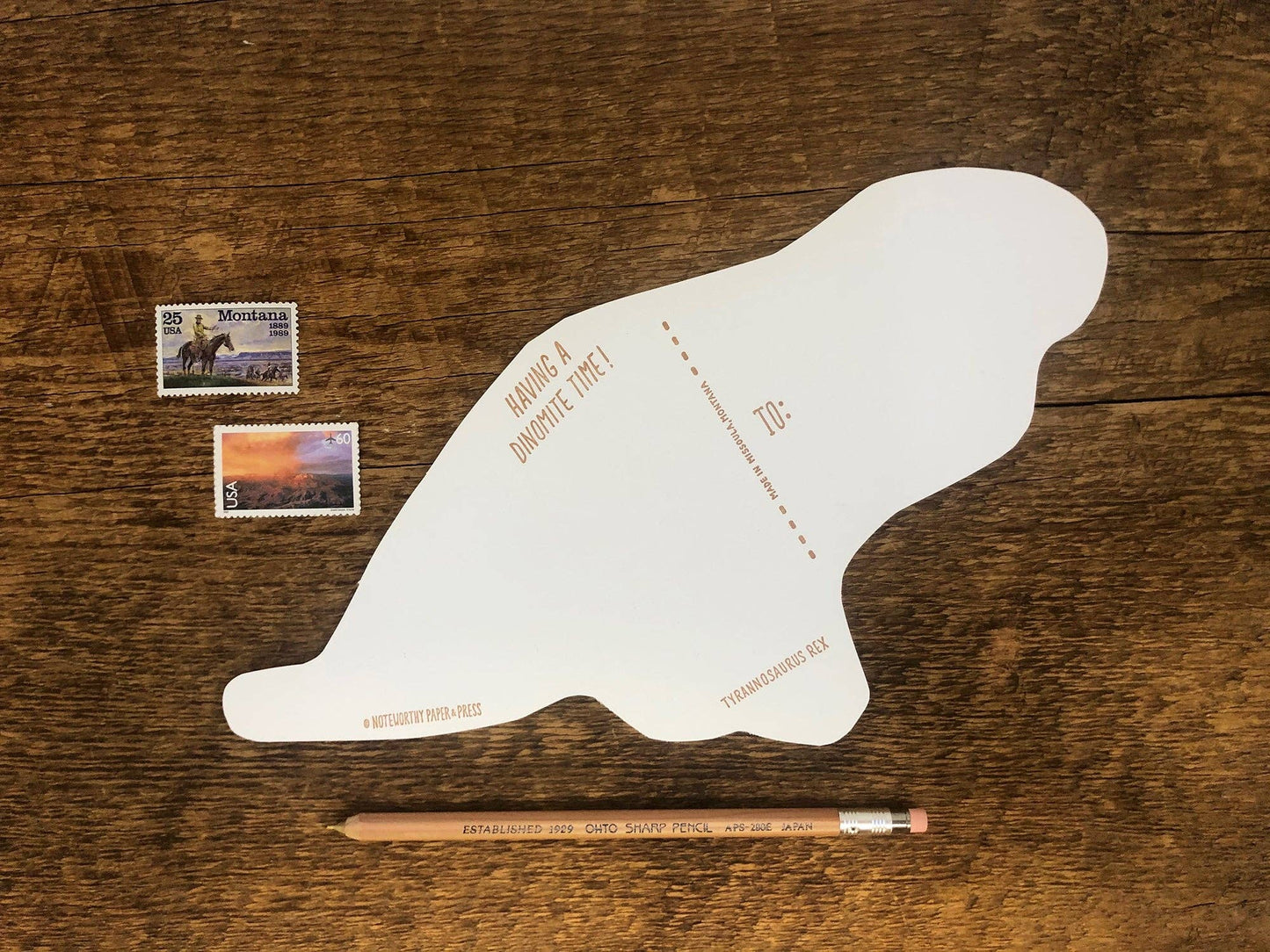 T-Rex Fossils Postcard