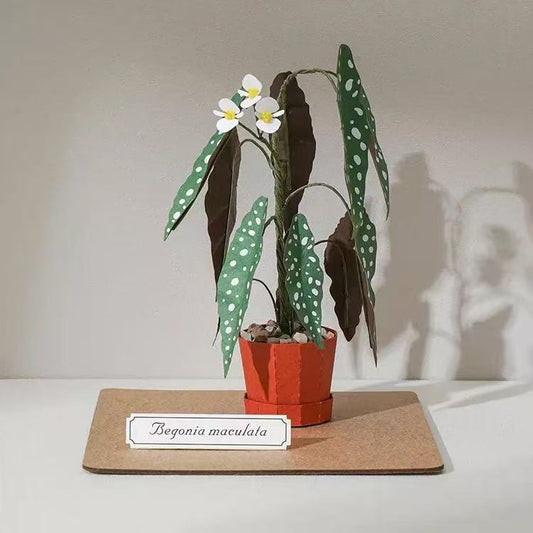 Begonia Maculata 3D Paper Plant Decor