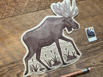 Moose Postcard