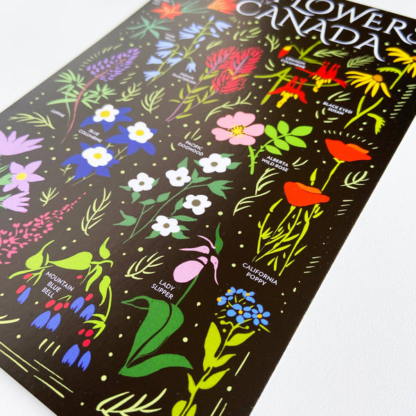 Wildflowers Canada 6x9 Postcard