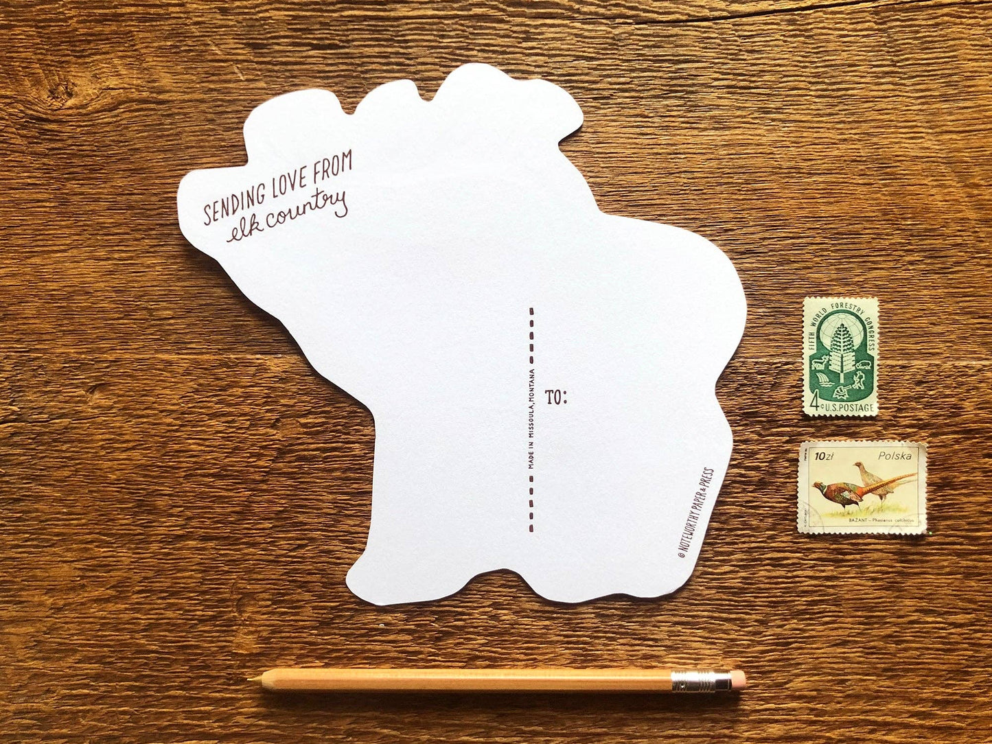 Elk Postcard
