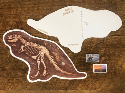 T-Rex Fossils Postcard