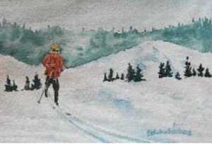 Cross country Skier