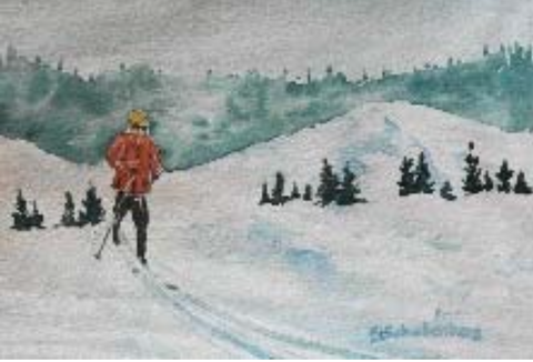 Cross country Skier