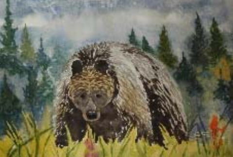 Grizzly Bear