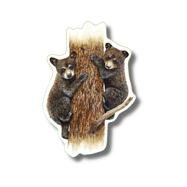 American Black Bear Cubs Nature Sticker, 3.5" wide