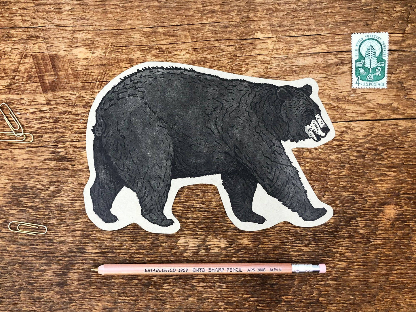 Black Bear Postcard: General
