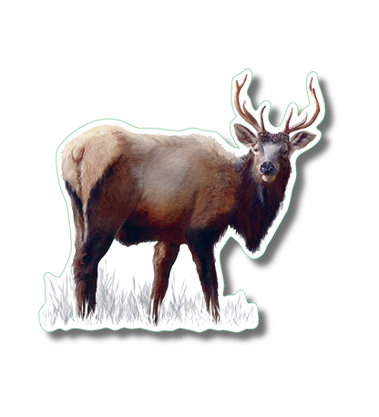 Elk  Nature Sticker, 3.5" wide