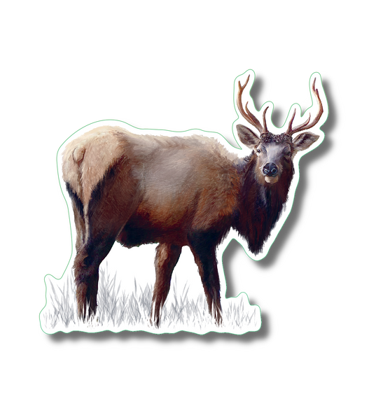 Elk  Nature Sticker, 3.5" wide