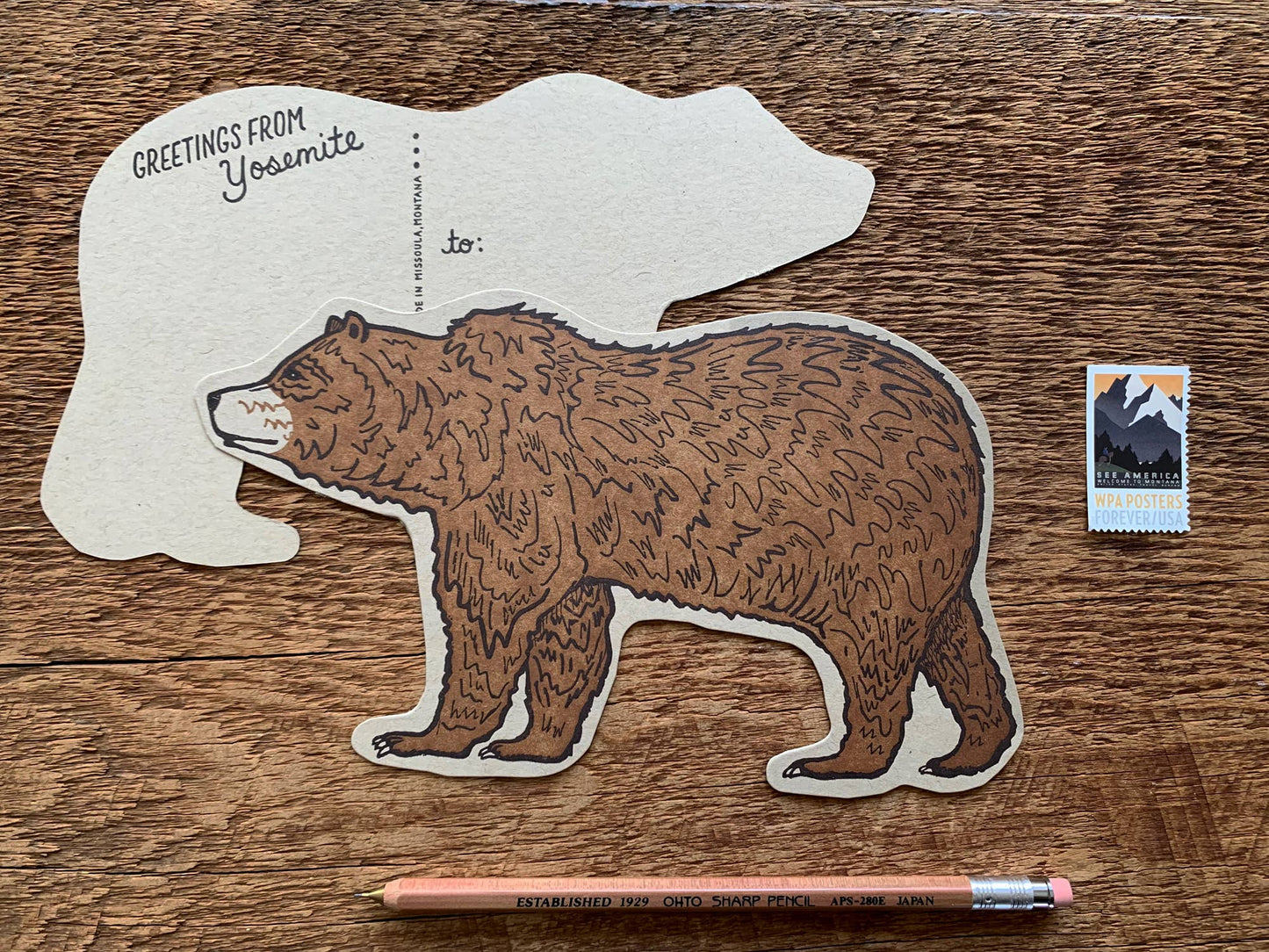 Yosemite Grizzly Bear Postcard