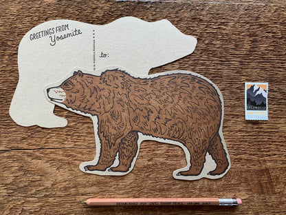 Yosemite Grizzly Bear Postcard