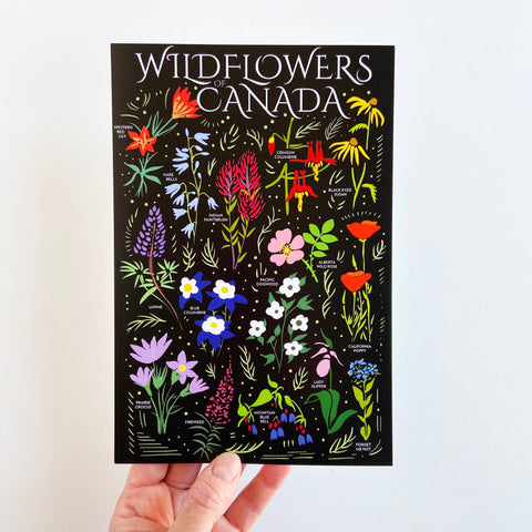 Wildflowers Canada 6x9 Postcard