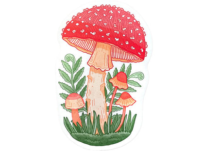 Mushroom Postcard