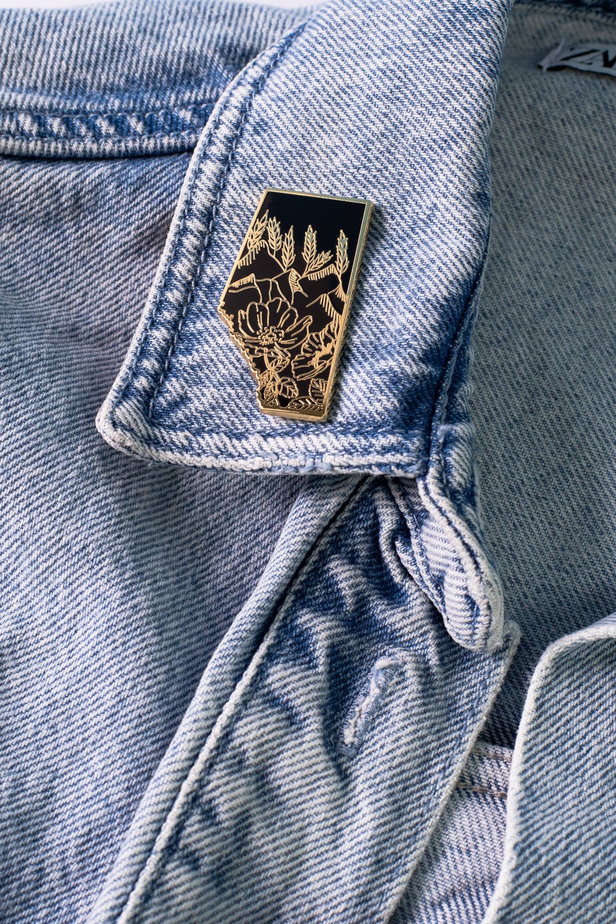 Alberta Enamel Pin