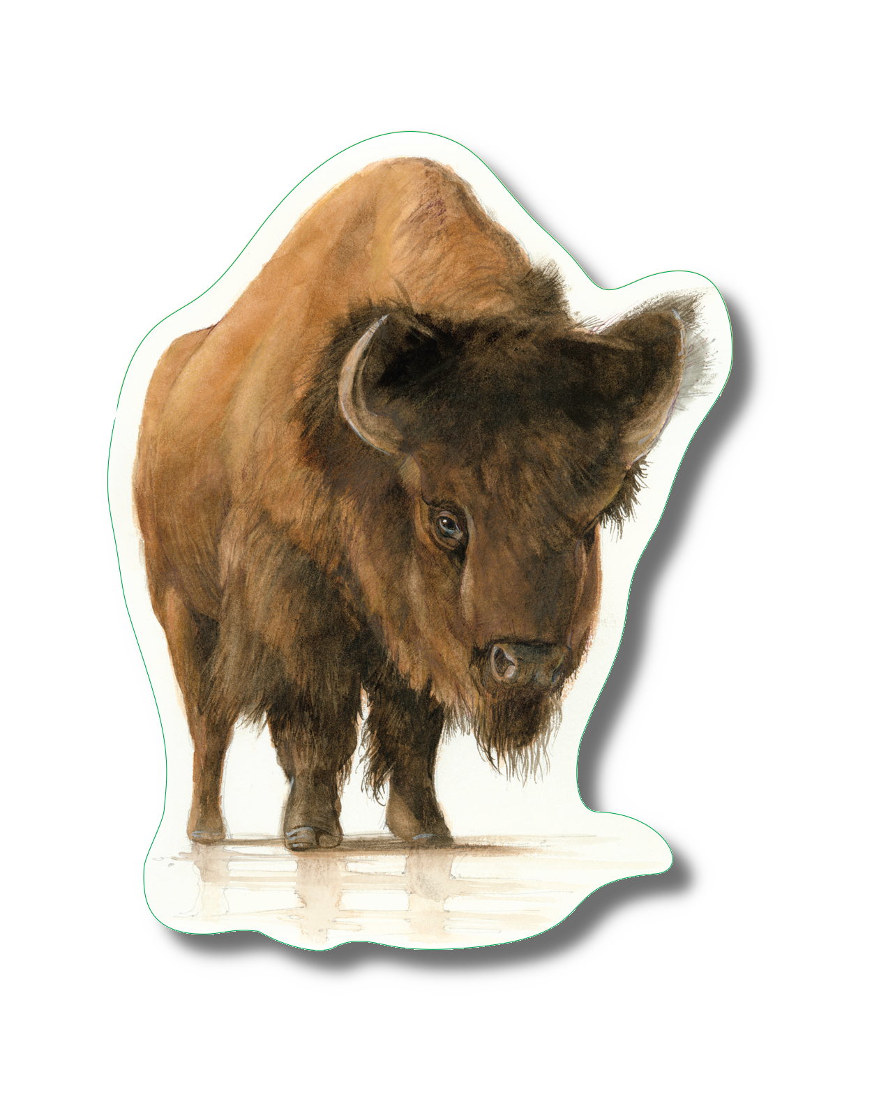 Bison Nature Sticker, 3.5" wide
