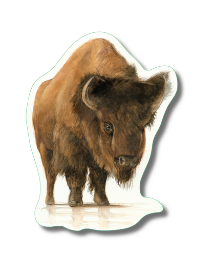 Bison Nature Sticker, 3.5" wide