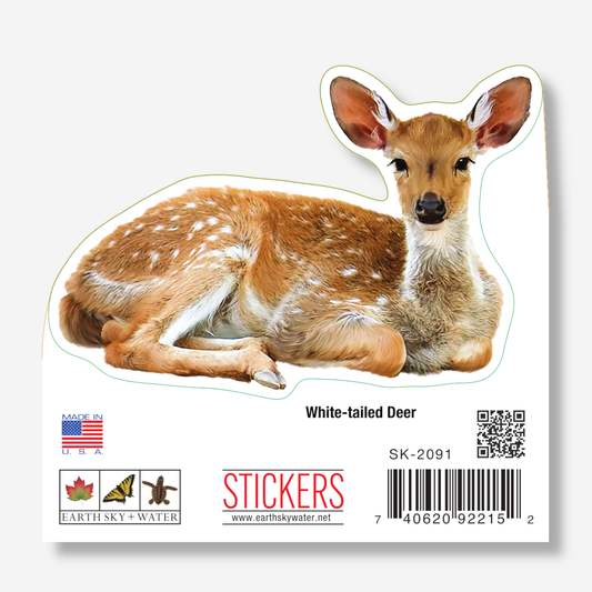 White-tailed Deer Nature Sticker, 3.5" wide