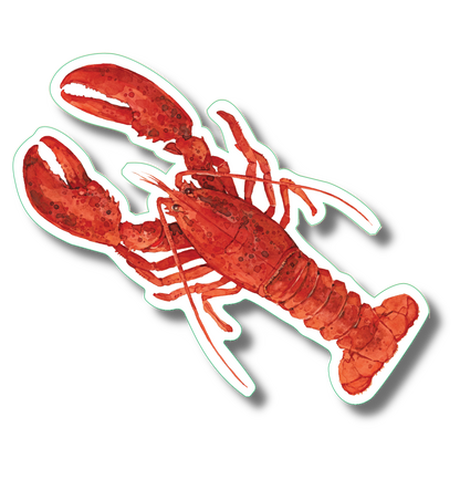 Red Lobster Nature Sticker, 3.5" wide