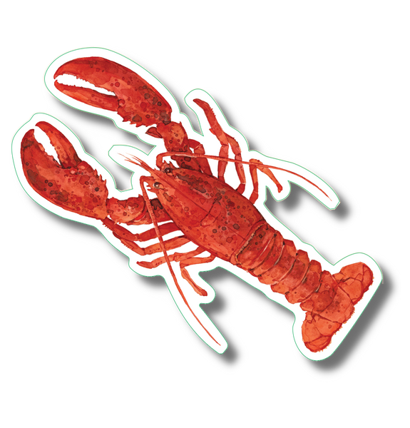 Red Lobster Nature Sticker, 3.5" wide