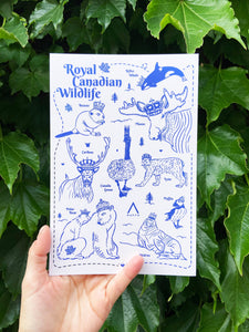 Royal Canadian Wildlife 6x9 Postcard