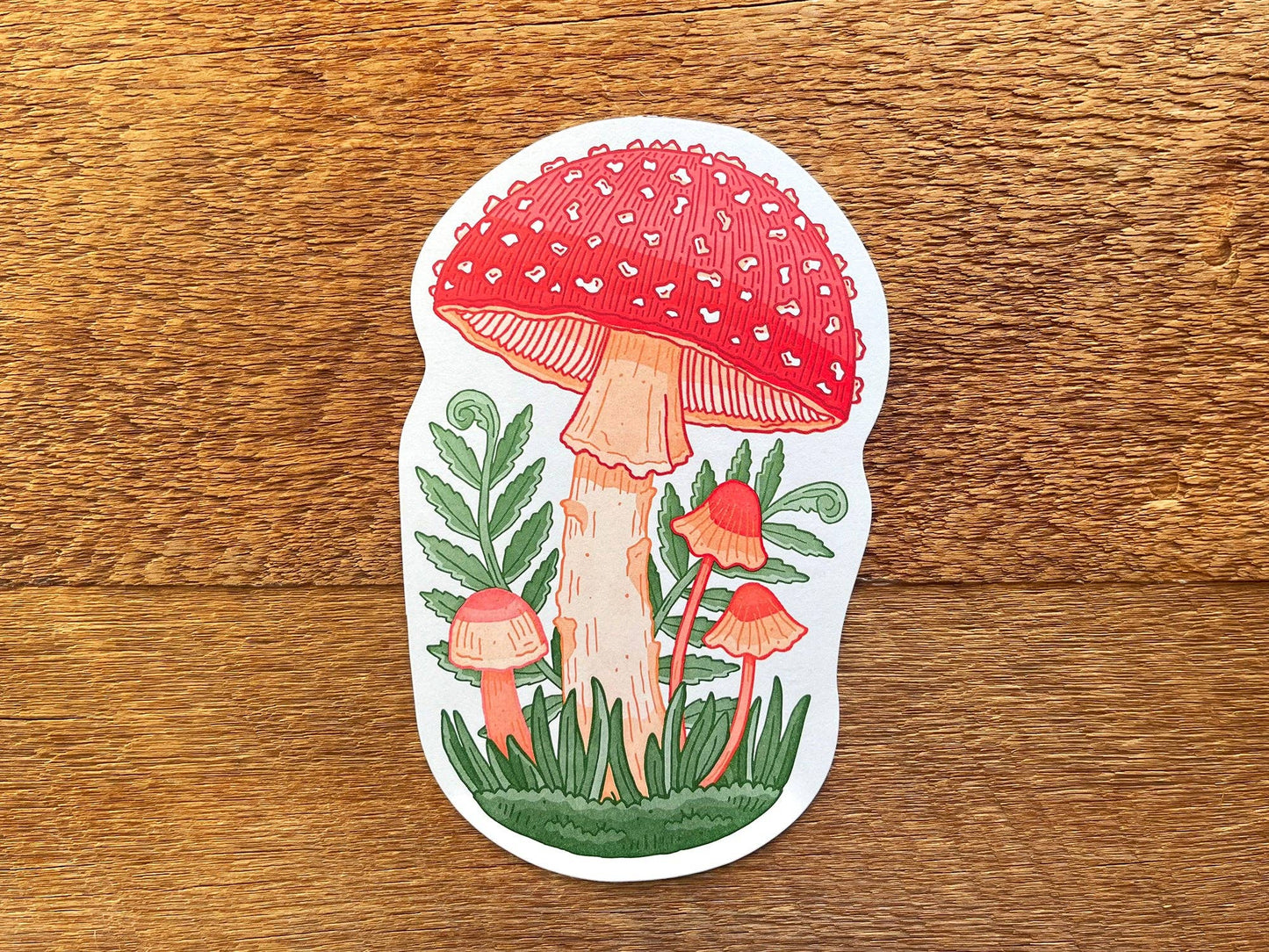 Mushroom Postcard