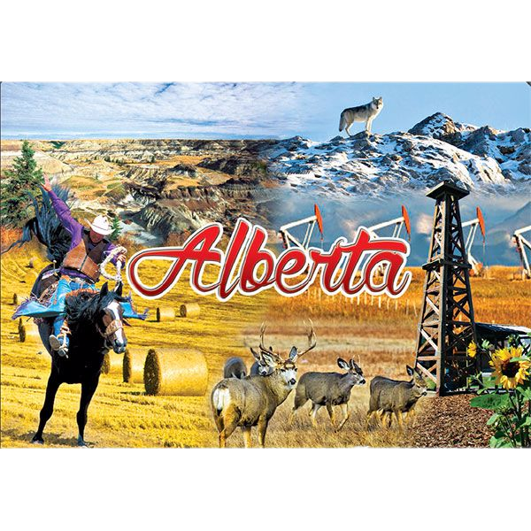 Alberta Souvenir Fridge Magnet Alberta Life